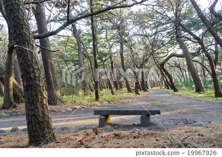 Senbonohama Park Senbonohama Park 19967926