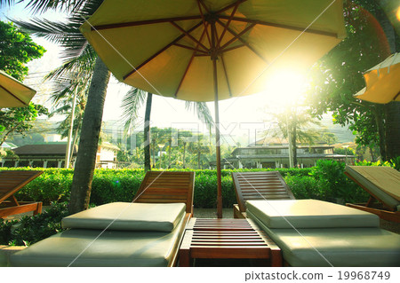 hotel lounges palm landscape 19968749