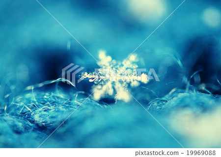 macro background snowflake on wool 19969088