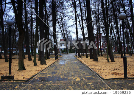 Fall foliage landscape park 19969226
