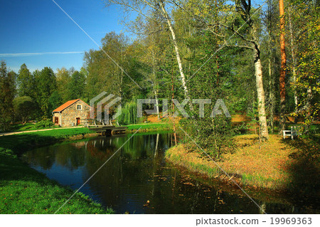 Summer in the city park landscape Summer in the city park landscape 19969363