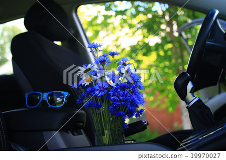 Summer flowers in the car 19970027