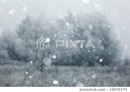 blurred background snowy forest nature park 19970379