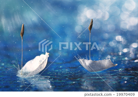 petal in water swan blue background petal in water swan blue background 19970409