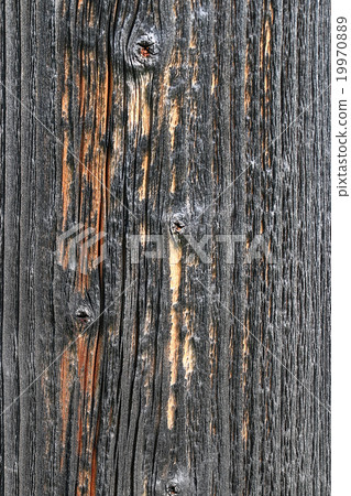 wood background texture old tree 19970889