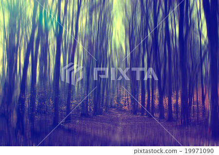 autumn park landscape with trees with yellow foliage 19971090