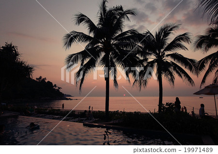 sunset sea beach palms pool 19971489
