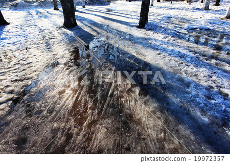 Winter forest landscape on a sunny day 19972357