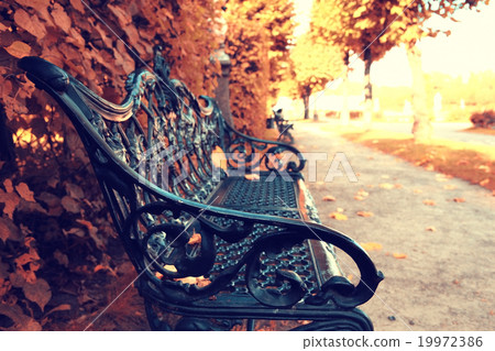 Park bench autumn urban landscape recreation Park bench autumn urban landscape recreation 19972386