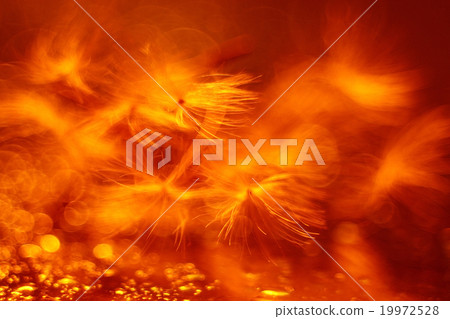 blurred bokeh abstract orange background 19972528