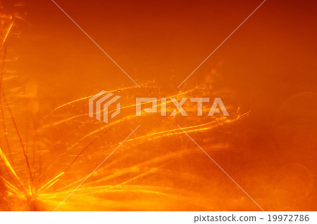 blurred bokeh abstract orange background 19972786