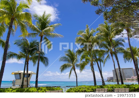 Waikiki Beach Waikiki Beach 19973353