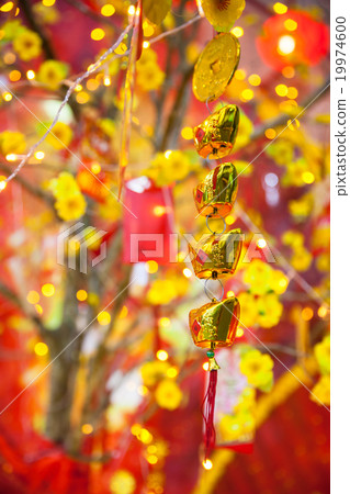 Chinese Lunar New Year or Tet decorations, Vietnam Chinese Lunar New Year or Tet decorations, Vietnam 19974600