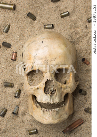 skull lying in the sand, scattered rifle and 19975152