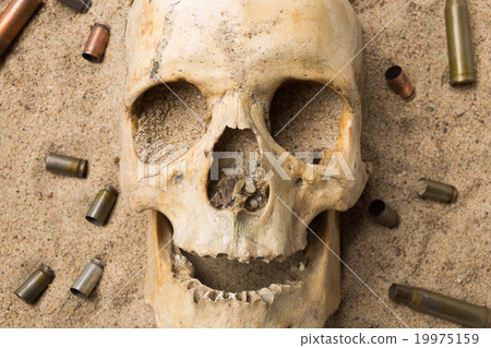 skull lying in the sand, scattered rifle and skull lying in the sand, scattered rifle and 19975159
