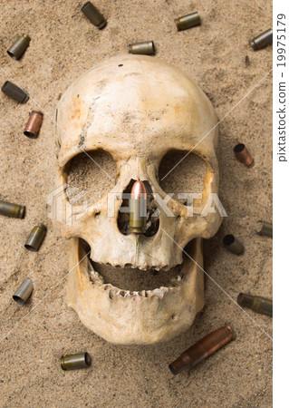 skull lying in the sand, scattered rifle and 19975179
