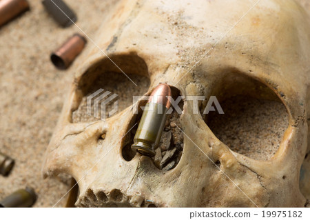 skull lying in the sand, scattered rifle and skull lying in the sand, scattered rifle and 19975182