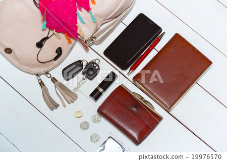 handbag 19976570