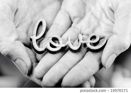 hands hands 19976571