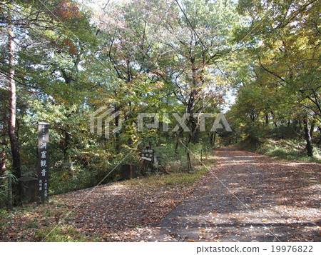 Forest road / natural image (25) Forest road / natural image (25) 19976822