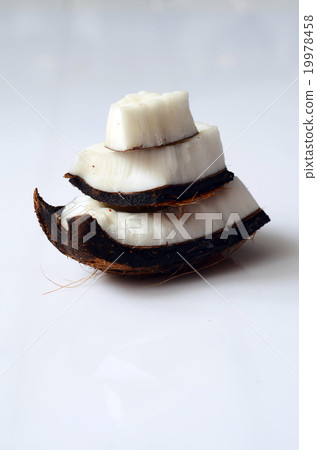 close up of coconut 19978458