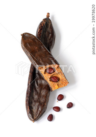 Ripe carob pods 19978620