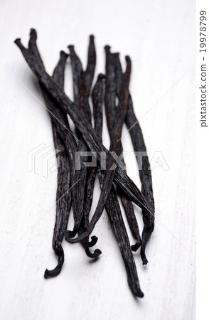 vanilla pods 19978799