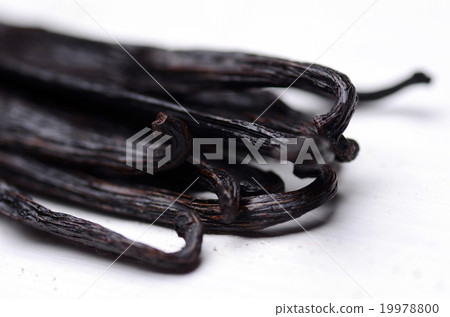 vanilla pods vanilla pods 19978800