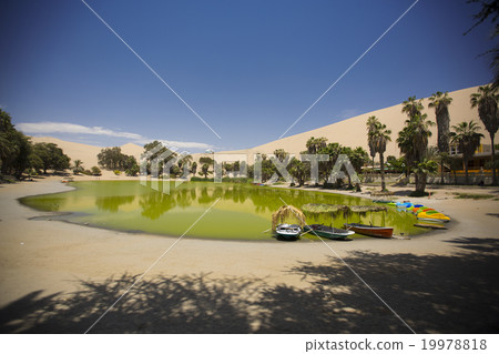 oasis in the dunes. Peru 19978818