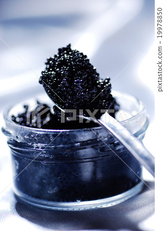 Black caviar Black caviar 19978850