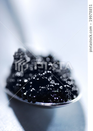 Black caviar 19978851