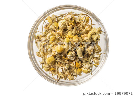  Chamomile herb tea Herb tea of the chamomile 19979071