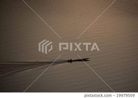 man on a ferryboat 19979509