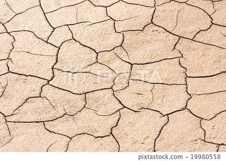 details of a dried cracked seabed 19980558