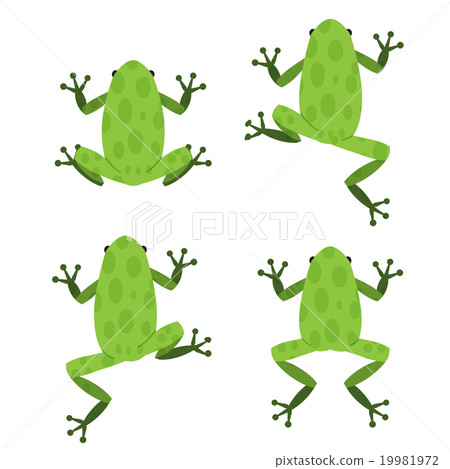 Set of green frog in flat style with pattern 19981972
