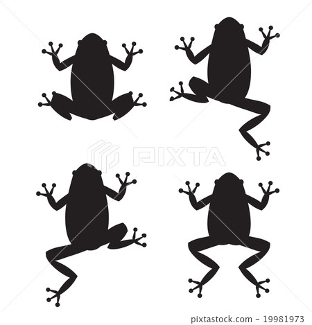 Set of frog silhouettes on white background 19981973