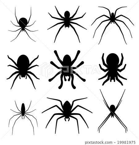 Set of spider silhouette vector icon. Top view 19981975