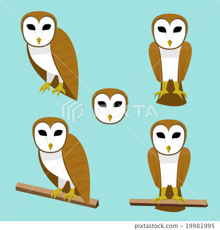 Set of Barn owl on branch in flat style Set of Barn owl on branch in flat style 19981995