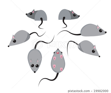 Set of rat in flat style Set of rat in flat style 19982000