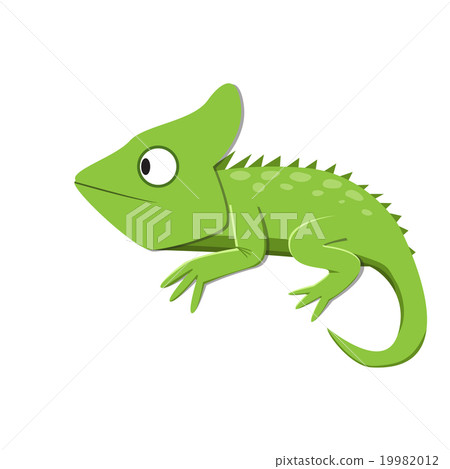 Green lizard watching something in flat style 19982012