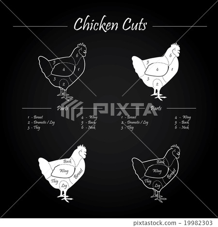 CHICKEN cuts on blackboard 19982303