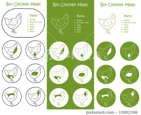 Bio Poultry meat parts Icons for packaging Bio Poultry meat parts Icons for packaging 19982306