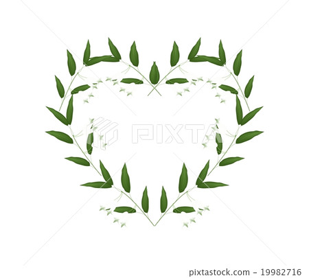 White Solomons Seal Flowers in A Heart Shape 19982716