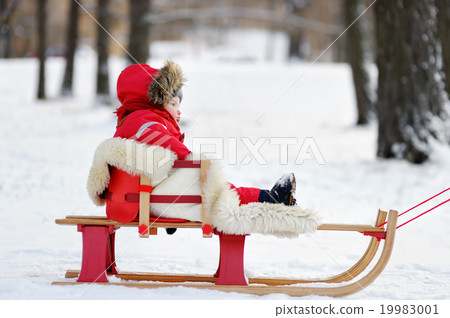 Winter portrait of toddler boy 19983001