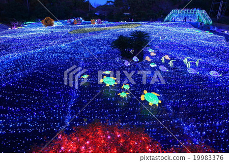 Izu Gourembouru Park Illuminations 19983376