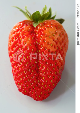 Single strawberry on grey background Single strawberry on grey background 19983476
