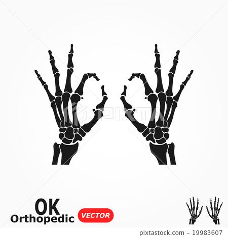 OK orthopedic ( X-ray human hand with OK sign ) OK orthopedic ( X-ray human hand with OK sign ) 19983607