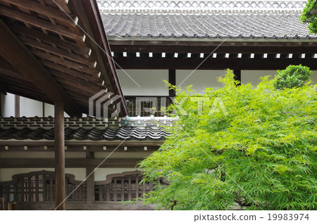 Kawagoe Castle Honmaru Palace 19983974
