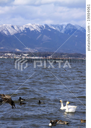 Lake Biwa in winter Lake Biwa in winter 19984061