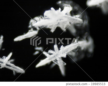 碳酸氫鈉晶體(碳酸氫鈉) 碳酸氫鈉晶體(碳酸氫鈉) 19985513